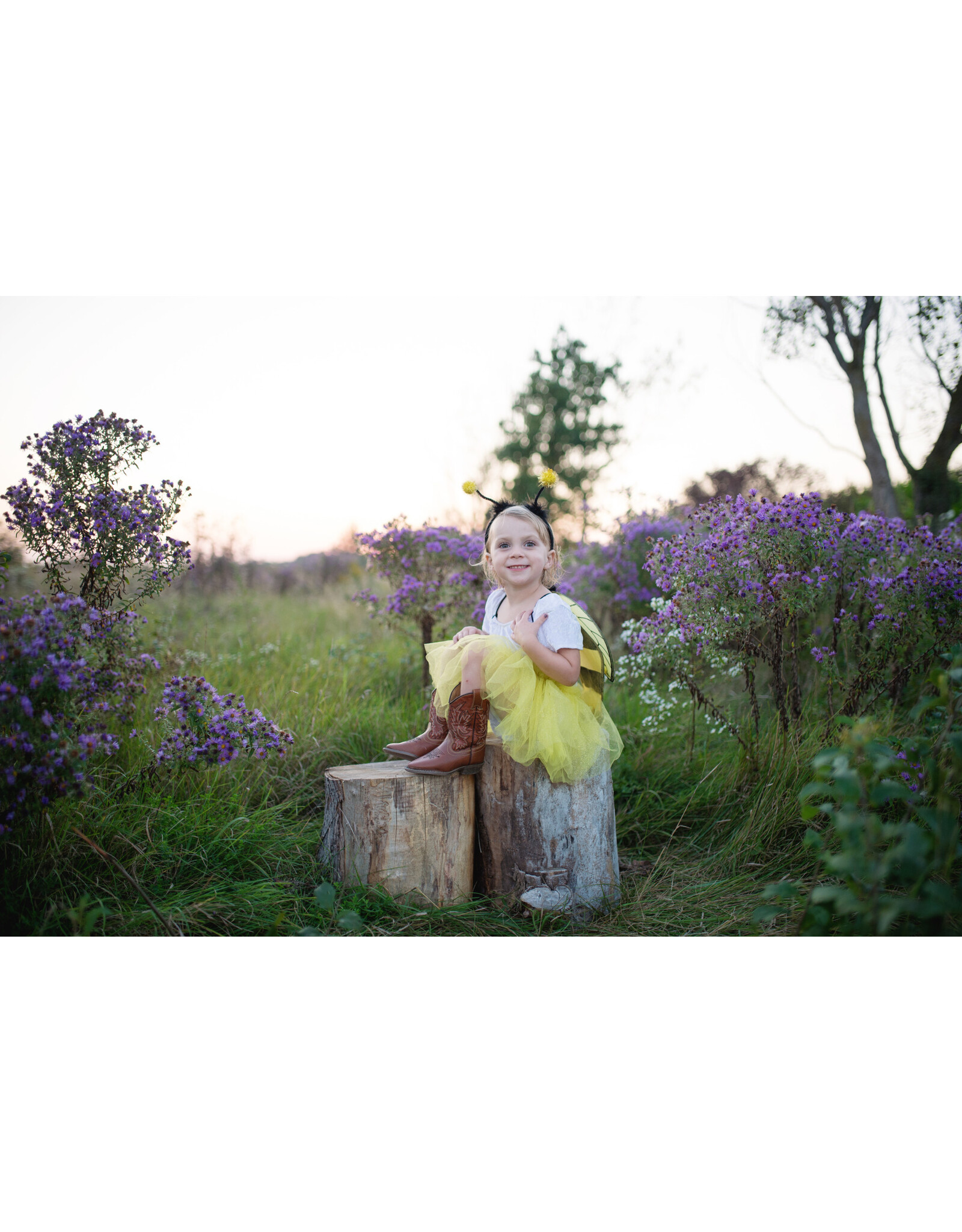 Great Pretenders Bumble Bee Tutu Set
