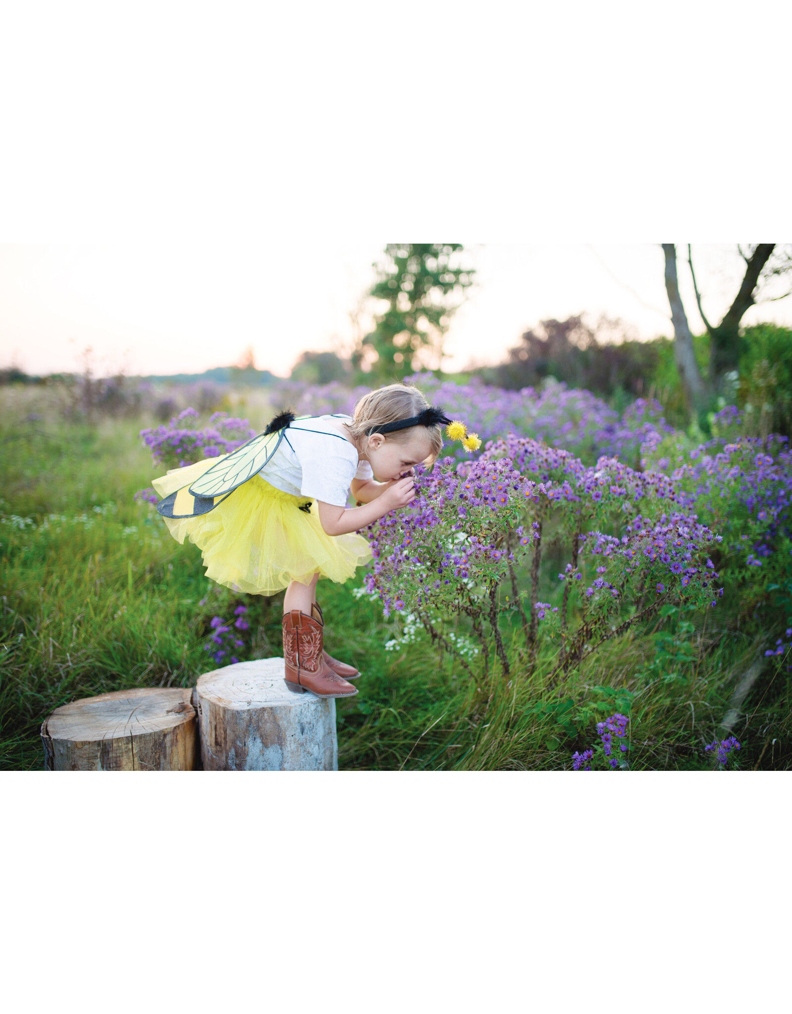Great Pretenders Bumble Bee Tutu Set