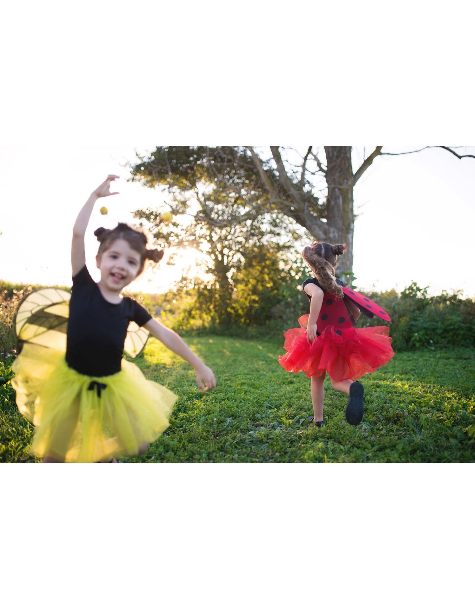 Great Pretenders Bumble Bee Tutu Set