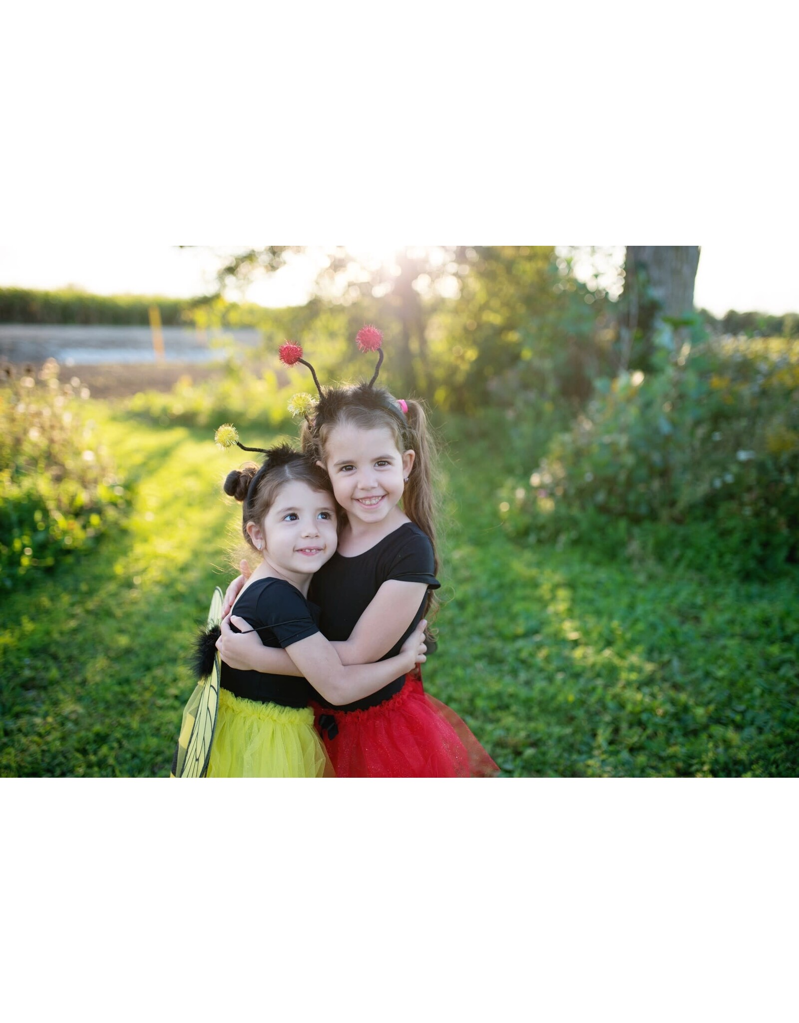 Great Pretenders Bumble Bee Tutu Set