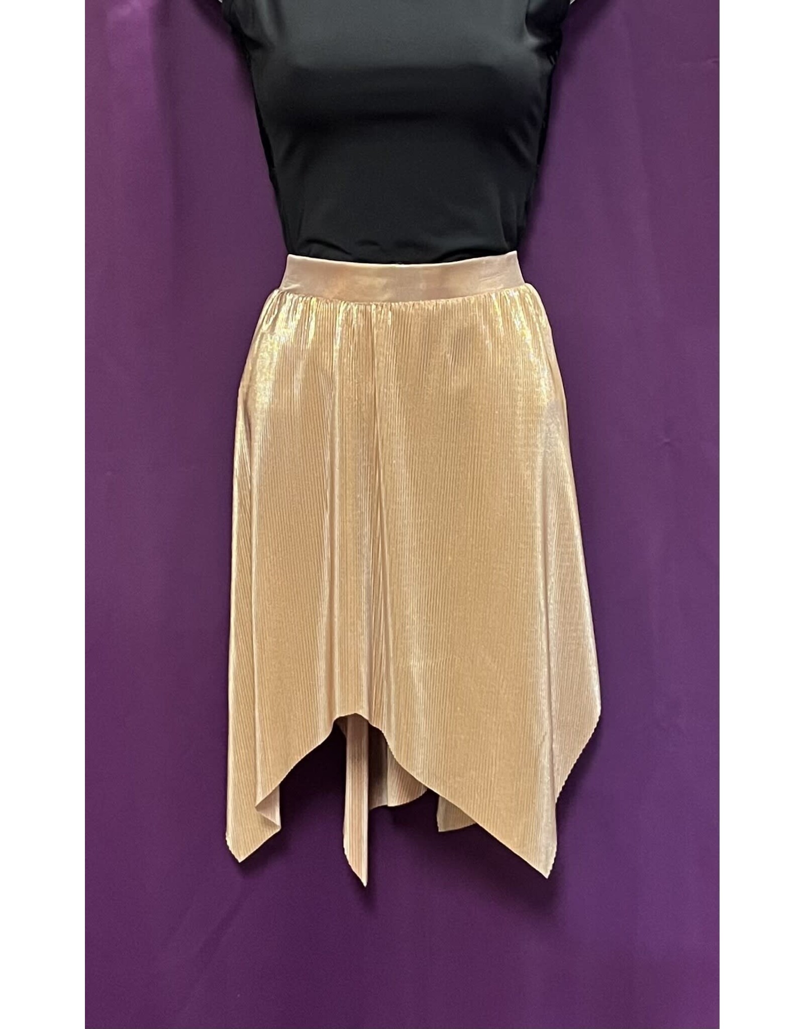 Body Wrappers Gold Skirt