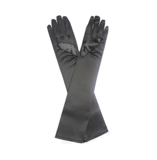 Long Sleeve Black Satin Gloves Costume Accessory main image 0