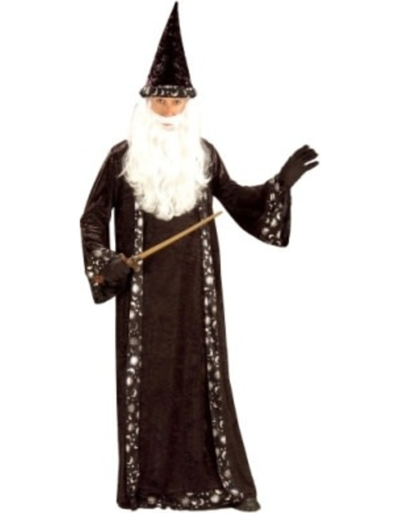 Forum Novelties Inc. Mr. Wizard