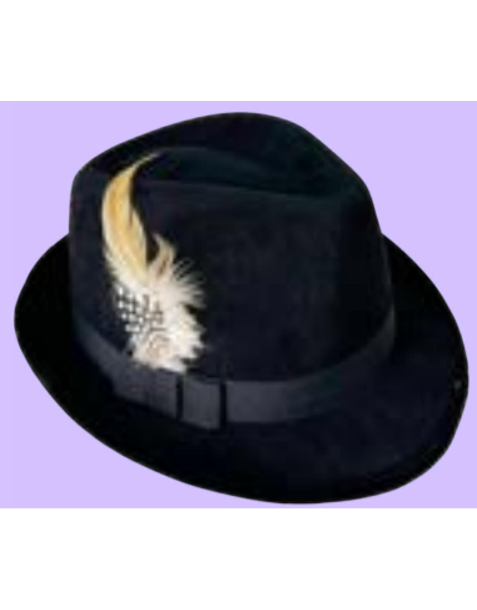 HM Smallwares Cool Cat Hat