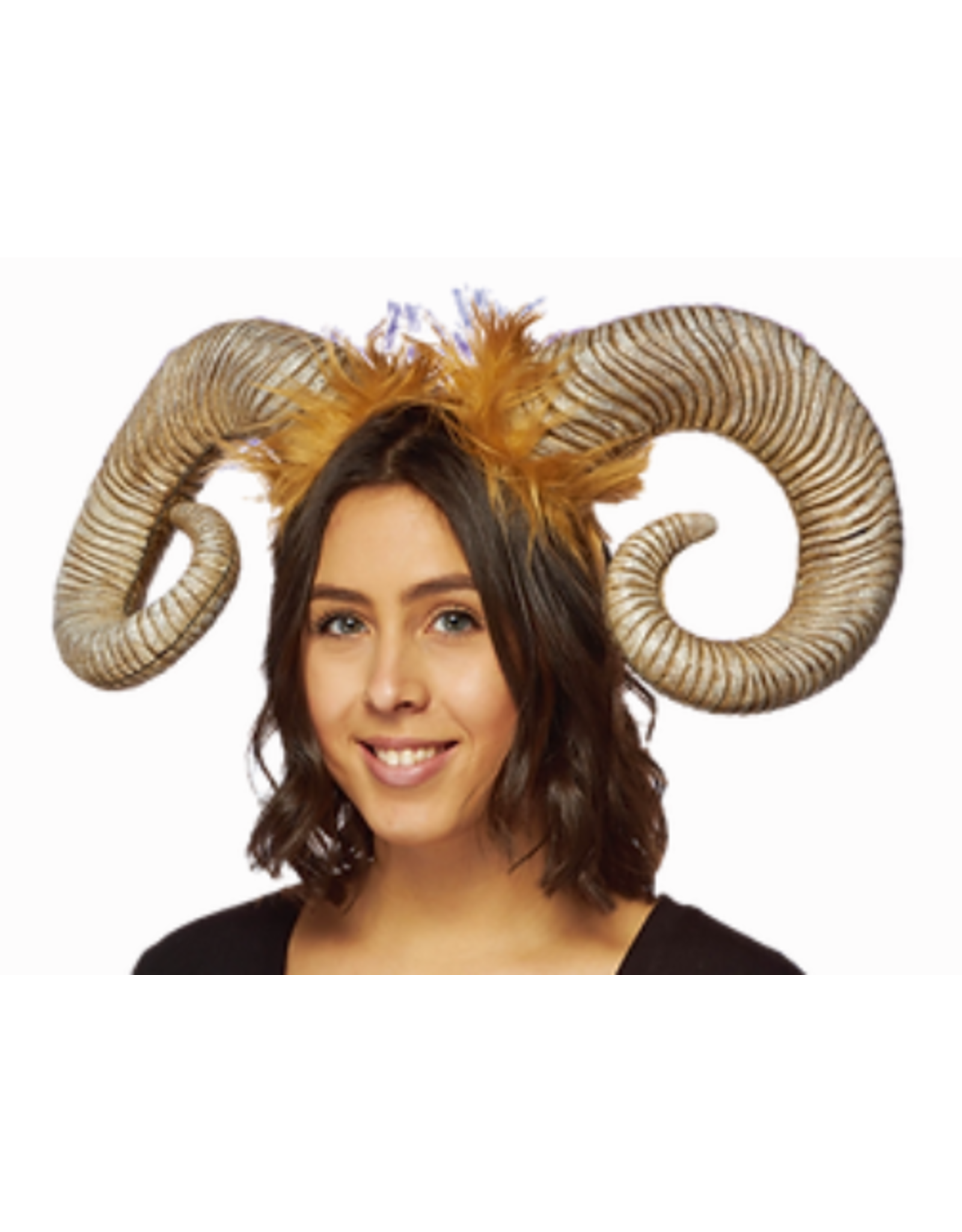 HM Smallwares Ram Horns