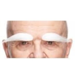 European Moustaches Eyebrows White 10cm x 3cm