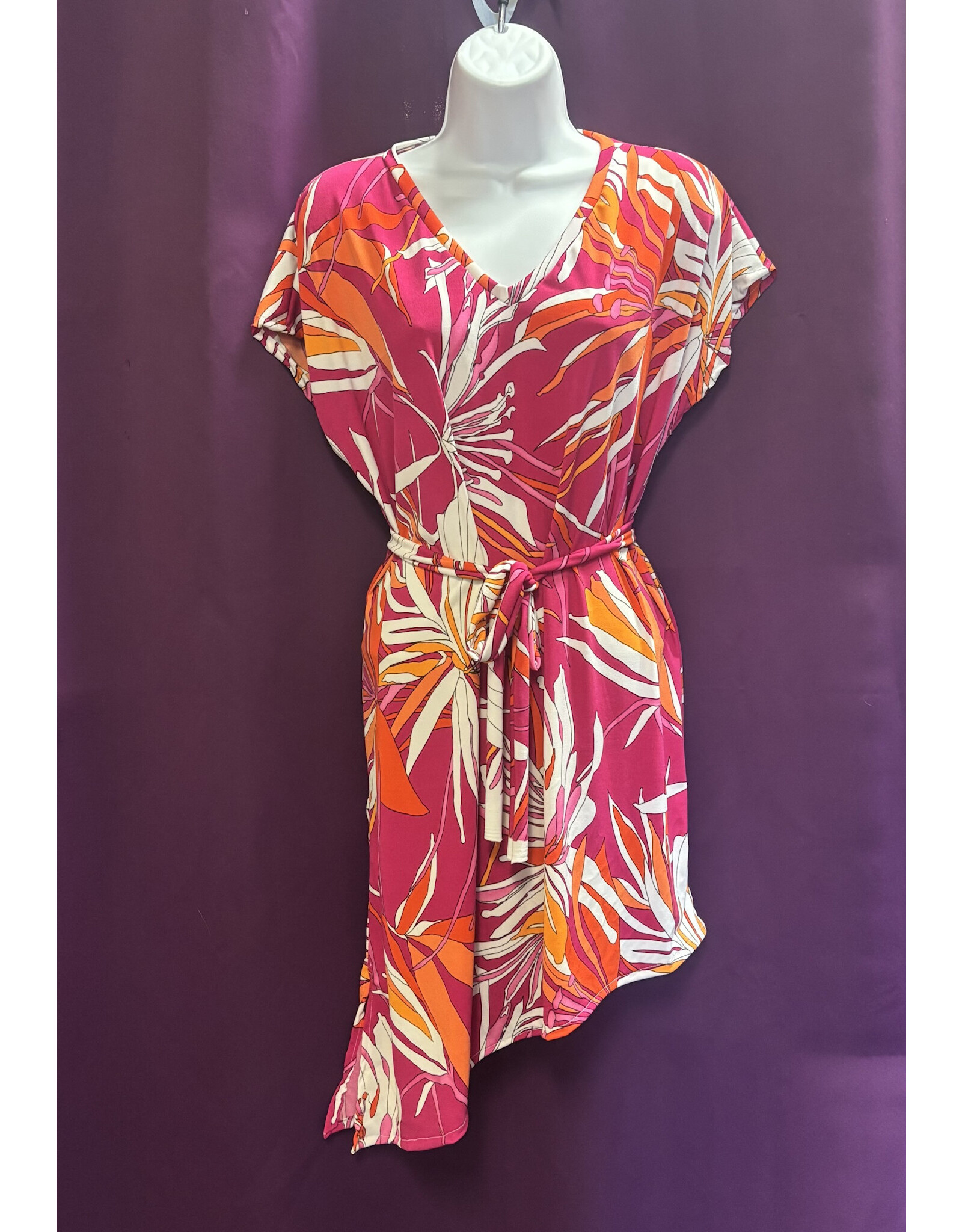 Karries Kostumes 60's/70's Dress and Tie