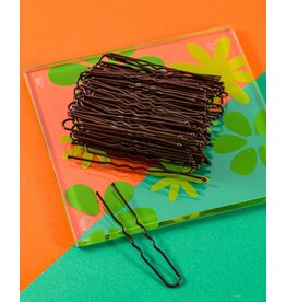 fH2 Hair Pins