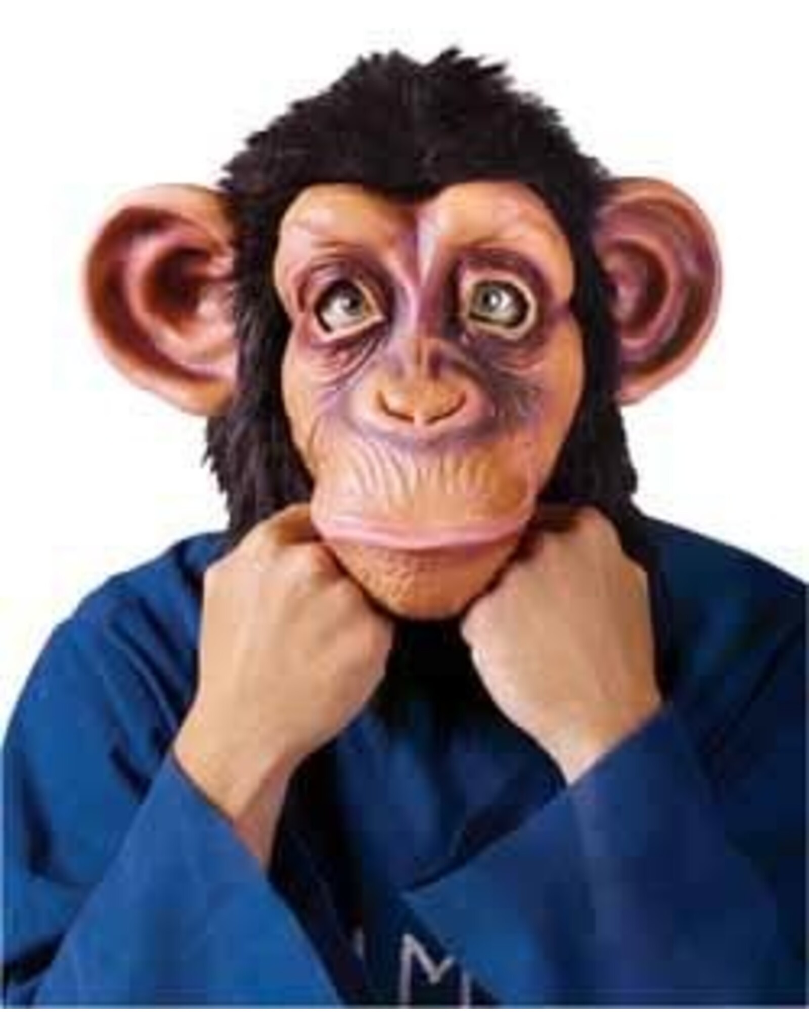 Fun World Ferocious Fangs Comical Chimp Mask