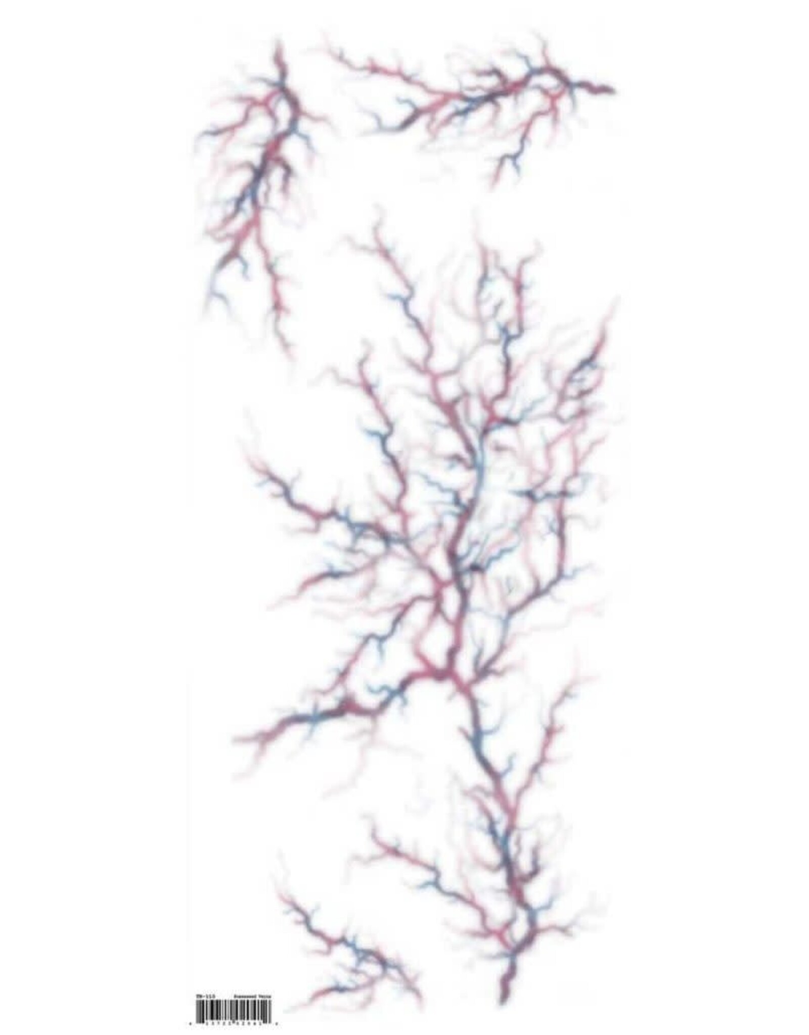 Tinsley Transfers Trauma Tattoo - Possessed Veins