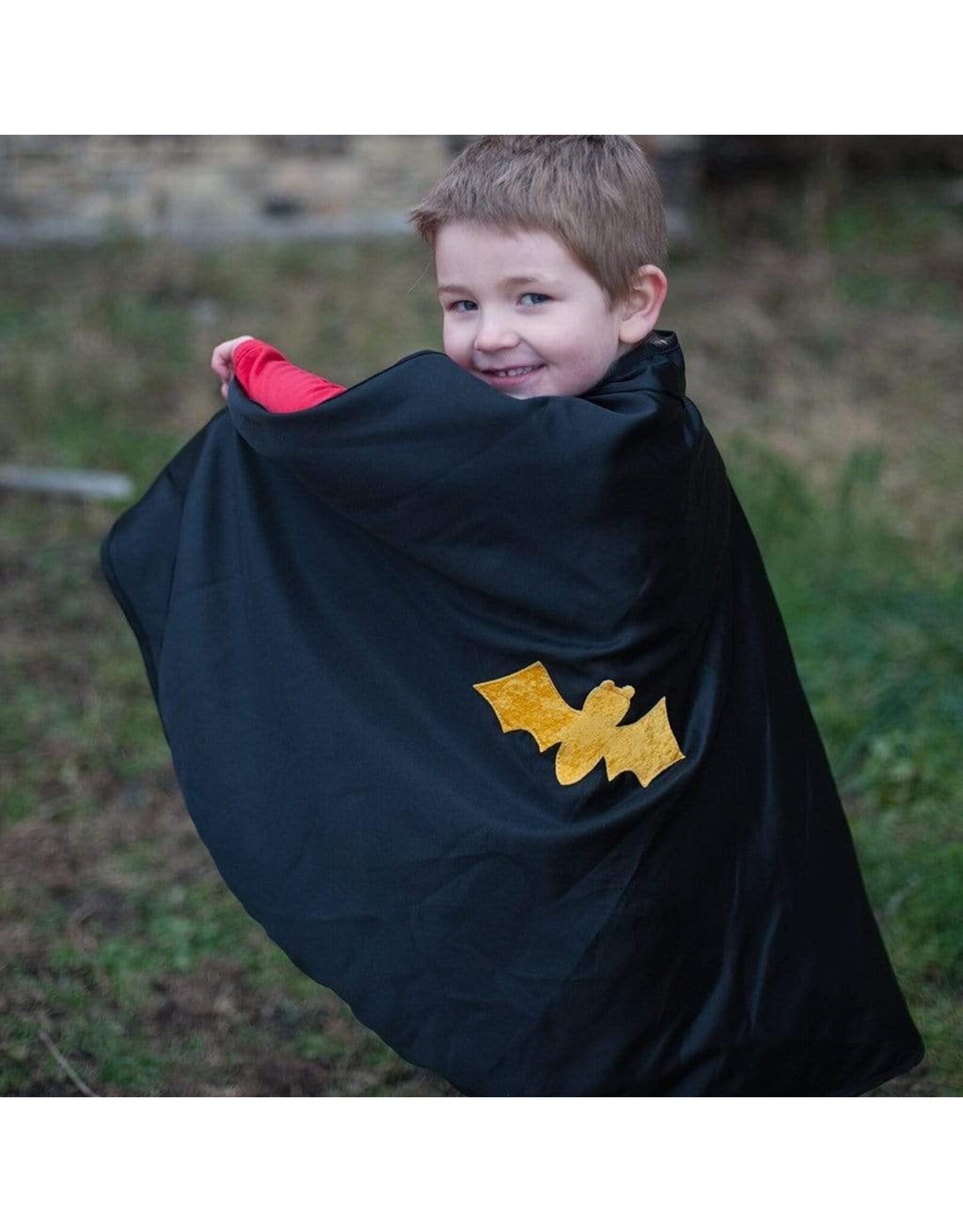 Great Pretenders Reversible Spider/Bat Cape and Mask