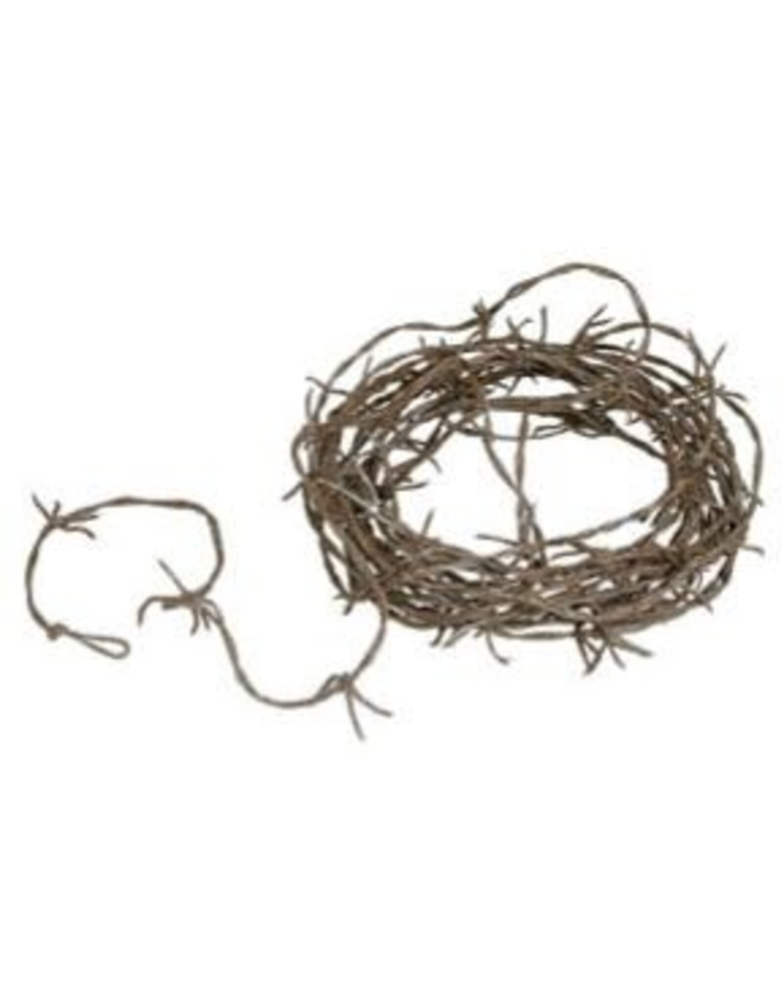 Beistle Barbed Wire