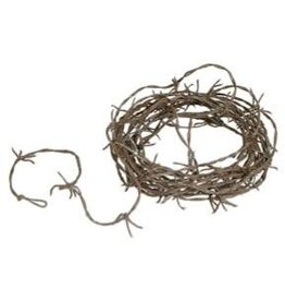 Beistle Barbed Wire