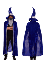 Leg Avenue Wizard