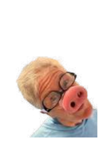 HM Smallwares Pig Nose