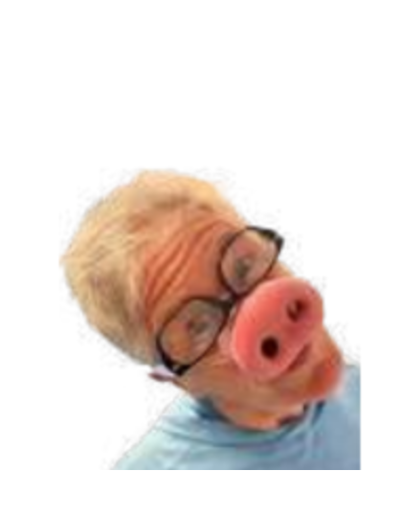 HM Smallwares Pig Nose