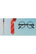 HM Smallwares Wizard Disguise Set