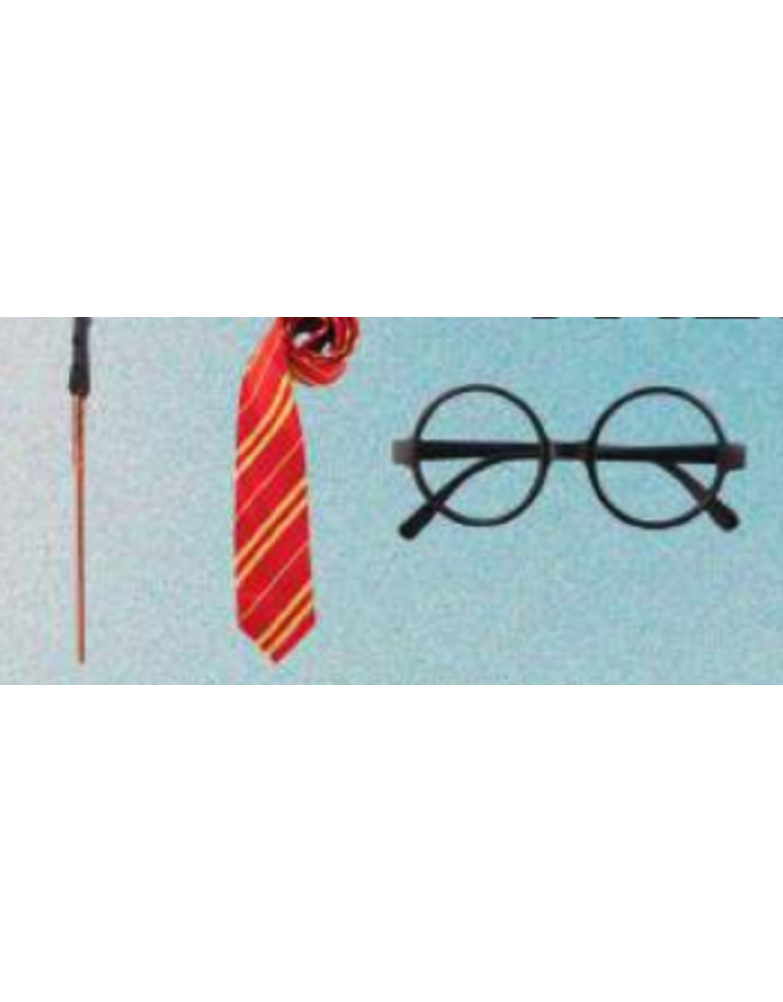 HM Smallwares Wizard Disguise Set