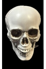SunStar Skull Decor