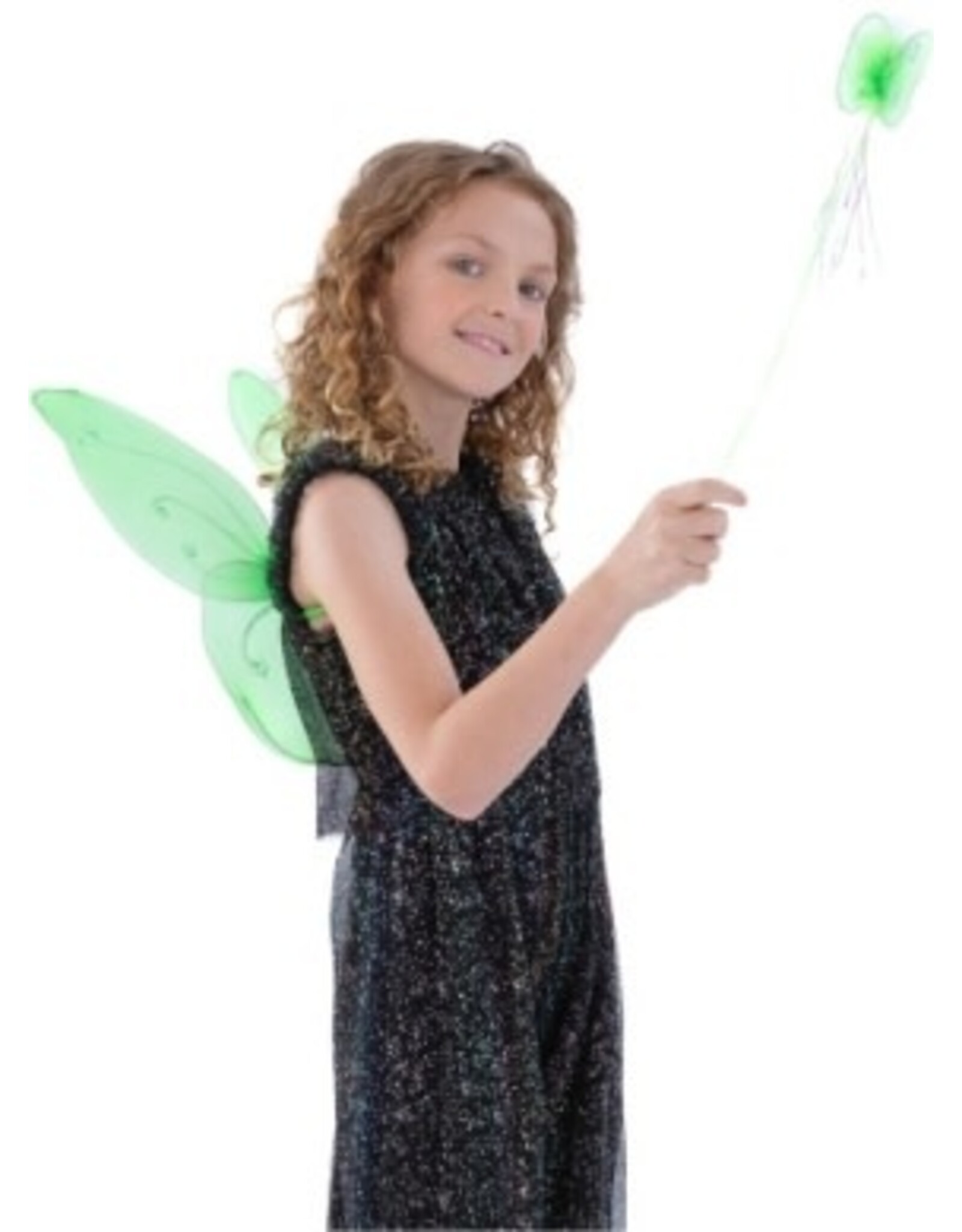 Rubies Costume Children's Green Fairy Wings