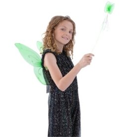Rubies Costume Children's Green Fairy Wings