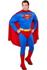 Rubies Costume Superman