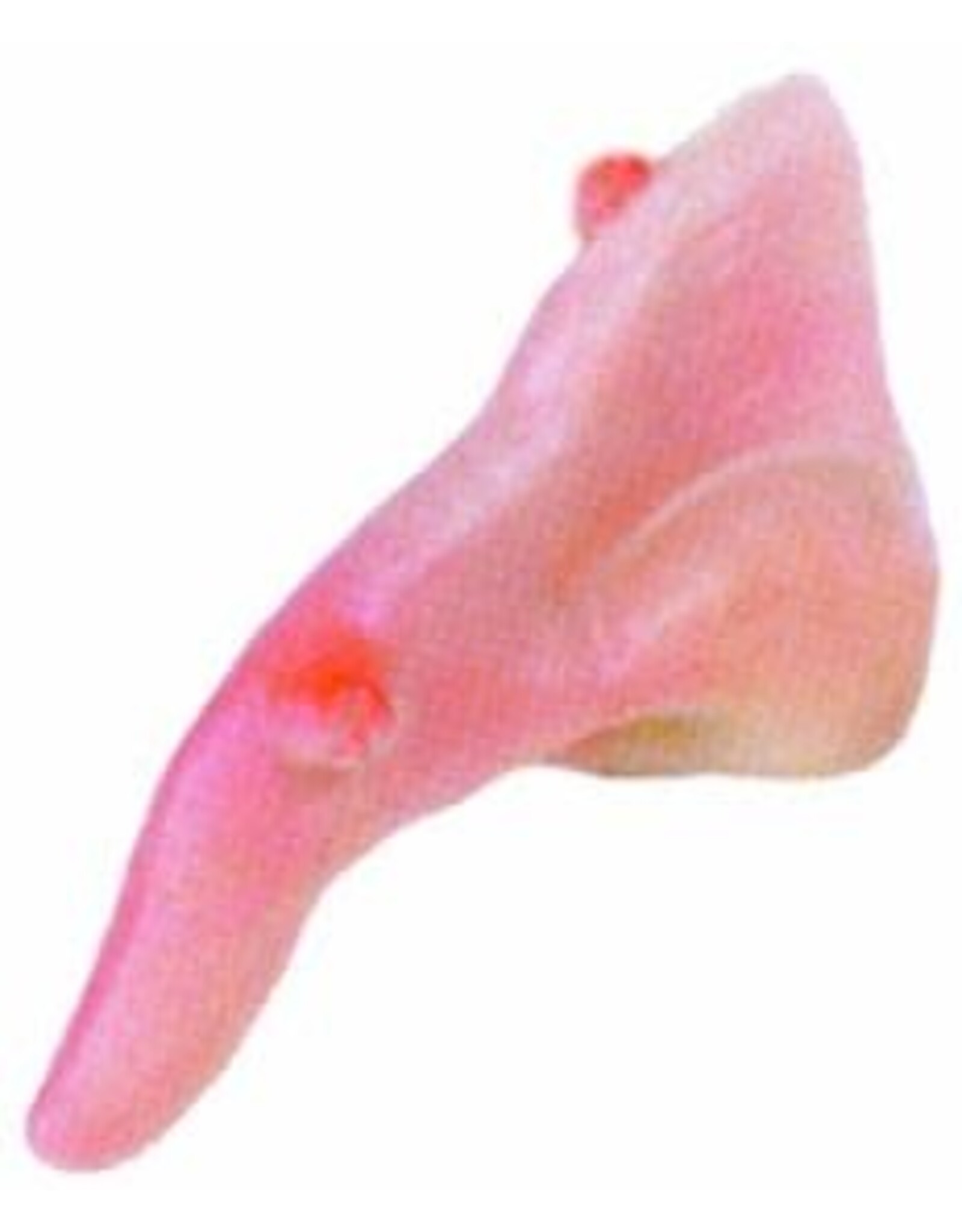 Forum Novelties Inc. Witch Nose with Elastic