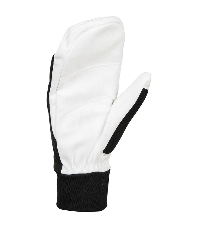 Daehlie Race Warm Mittens - Women's