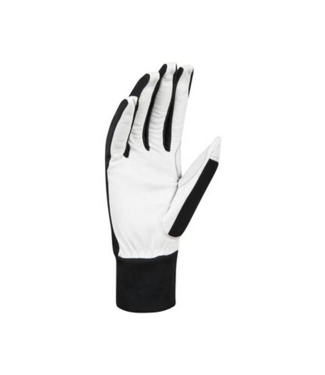 Daehlie Glove Race Leather