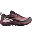 Salomon Genesis GTX W
