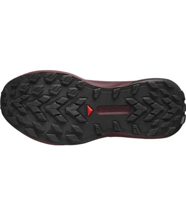 Salomon Genesis GTX W