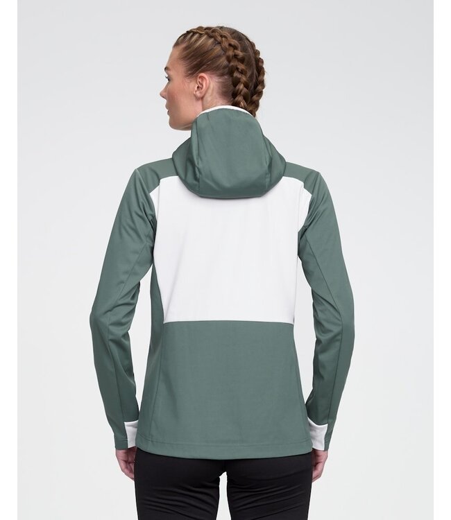 Daehlie Jacket Power WMN