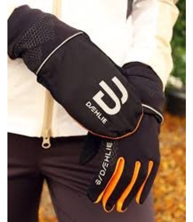 Daehlie Gloves Rush