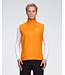 Daehlie Vest Momentum