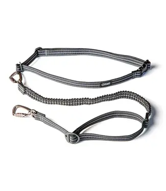 Stunt Puppy Go Dog Glo Stunt Runner