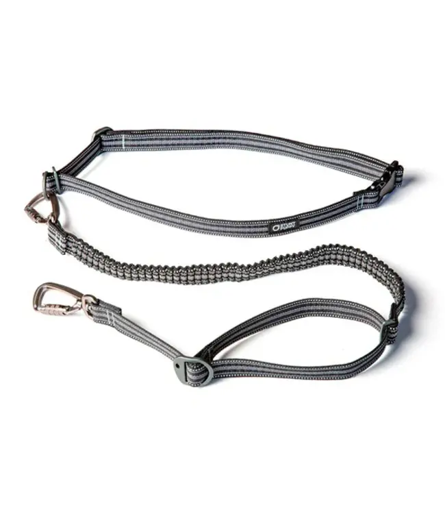 Stunt Puppy Go Dog Glo Stunt Runner