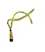 Pit Viper Rigs