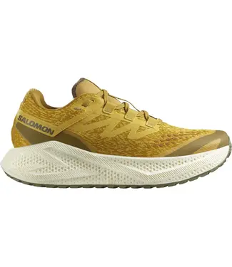 Salomon Aero Glide 3 GRVL