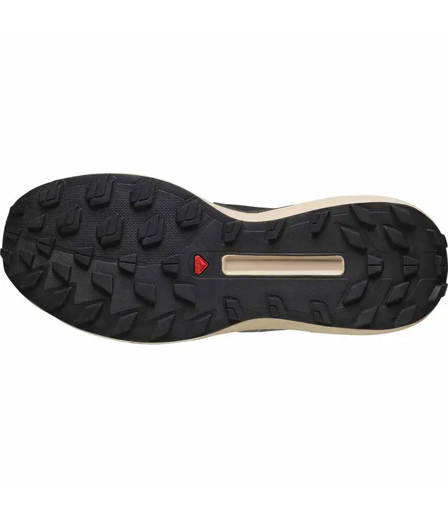 Salomon S/Lab Genesis