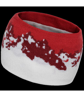 Daehlie Headband Champion