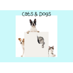 Cats & Dogs