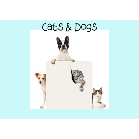 Cats & Dogs