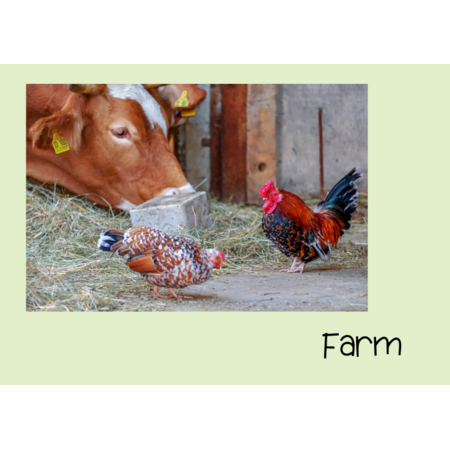 Farm