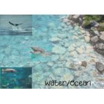 Water/Ocean