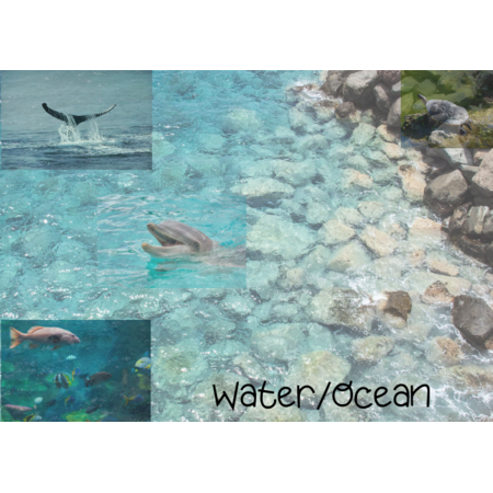 Water/Ocean