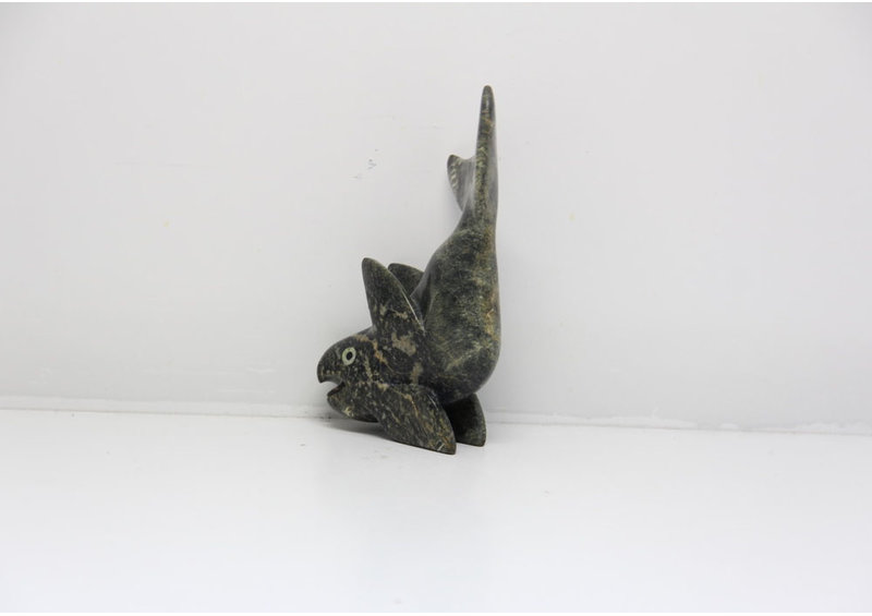 23891 Fish by Toonoo Sharky