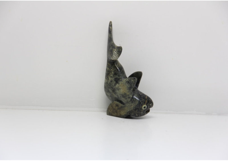 23891 Fish by Toonoo Sharky