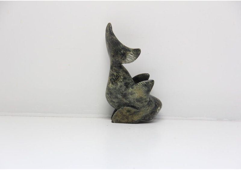 23891 Fish by Toonoo Sharky