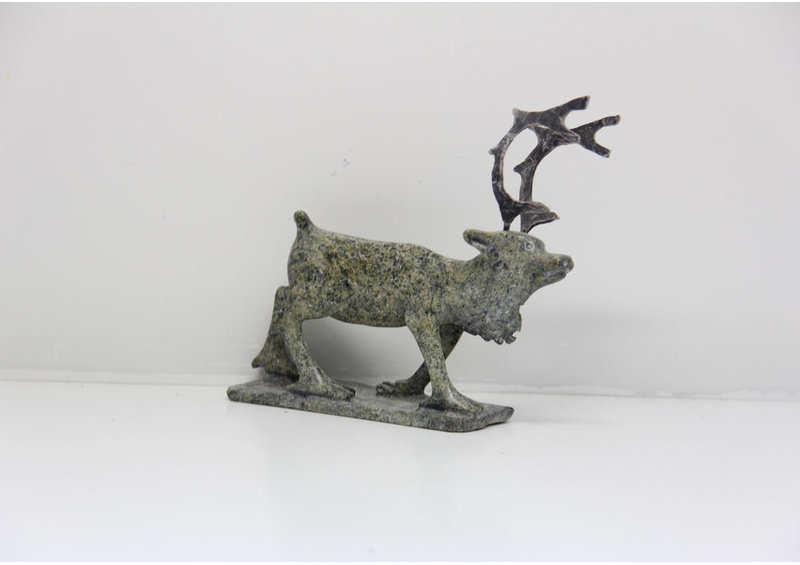 11259 Caribou by Pavinak Petaulassie