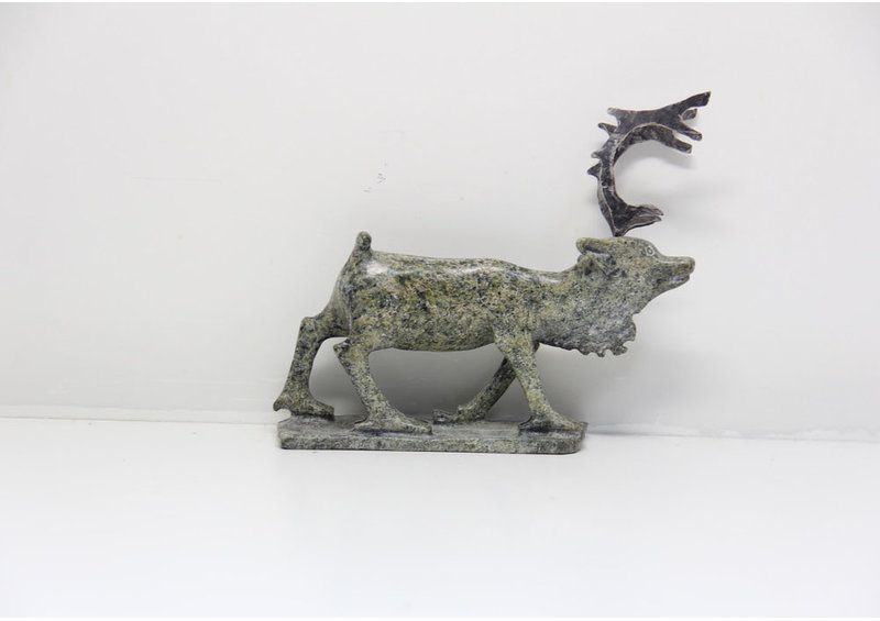 11259 Caribou by Pavinak Petaulassie